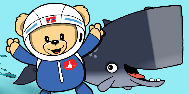 Cover image for The Whale and Andøya Space